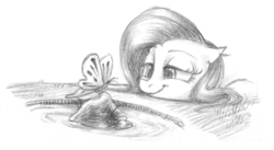 Size: 1322x722 | Tagged: safe, artist:erudier, fluttershy, butterfly, g4, doodle, female, monochrome, sketch, solo