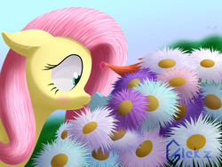 Size: 3000x2250 | Tagged: safe, artist:galekz, fluttershy, rainbow dash, g4, blushing, ear fluff, female, floppy ears, flower, heart, high res, kissing, lesbian, ship:flutterdash, shipping, surprise kiss, surprised