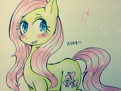 Size: 1280x960 | Tagged: safe, artist:divided-s, fluttershy, g4, female, solo, traditional art