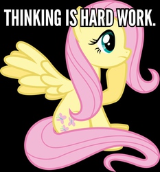 Size: 558x600 | Tagged: safe, artist:parclytaxel, fluttershy, g4, female, image macro, meme, solo, thinking