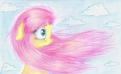 Size: 938x570 | Tagged: safe, artist:kruszynka25, fluttershy, g4, crying, female, shocked, solo, windswept mane