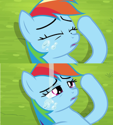 Size: 1920x2130 | Tagged: safe, screencap, rainbow dash, g4, trade ya!, drool, female, out of context, solo