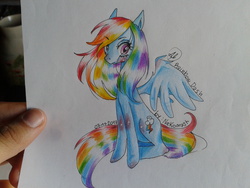 Size: 2560x1920 | Tagged: safe, artist:nekomash, rainbow dash, g4, female, solo, traditional art