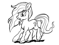 Size: 1658x1269 | Tagged: artist needed, safe, rainbow dash, pony, g4, black and white, female, grayscale, lineart, monochrome, simple background, sketch, solo, white background, wingless
