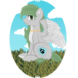 Size: 5800x5800 | Tagged: safe, artist:lace_felora, oc, oc only, pegasus, pony, absurd resolution, solo