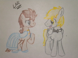 Size: 2592x1944 | Tagged: safe, artist:artistbrony, derpy hooves, doctor whooves, time turner, earth pony, pony, g4, bowtie, clothes, dopey hooves, dress, duo, female, male, rule 63, ship:doctorderpy, ship:dopeytoress, shipping, straight, the doctoress