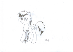Size: 1024x725 | Tagged: safe, oc, oc only, oc:frosty winds, fallout equestria, fallout equestria: memories, monochrome