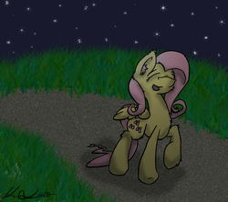Size: 1080x960 | Tagged: safe, artist:bloody--mascarade, fluttershy, g4, female, night, solo, stars