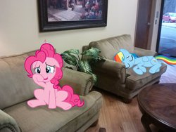 Size: 2592x1944 | Tagged: safe, artist:fabulouspony, artist:somepony, artist:tokkazutara1164, pinkie pie, rainbow dash, earth pony, pegasus, pony, g4, car, chair, duo, godmother, irl, painting, photo, plant, ponies in real life, pregnant, sleeping, table, tears of joy, vector, waiting room
