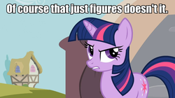 Size: 961x540 | Tagged: safe, twilight sparkle, g4, annoyed, female, image macro, meme, solo