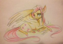 Size: 912x640 | Tagged: safe, artist:probablyfakeblonde, fluttershy, pegasus, pony, g4, colored hooves, female, lying in grass, one eye closed, realistic horse legs, simple background, solo, traditional art, white background