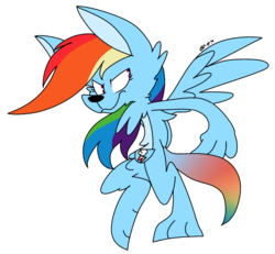 Size: 1024x947 | Tagged: safe, artist:dizzee-toaster, rainbow dash, kangaroo, g4, female, solo, species swap