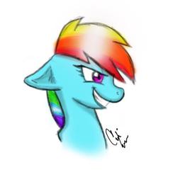 Size: 435x445 | Tagged: safe, artist:rainbowdash-swag, rainbow dash, pegasus, pony, g4, bust, female, mare, open mouth, signature, simple background, smiling, solo, white background