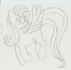 Size: 617x612 | Tagged: safe, artist:neko-kun67, fluttershy, g4, female, sketch, solo, traditional art