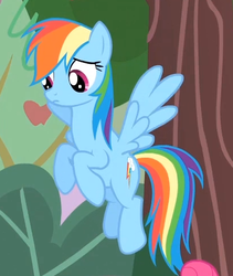 Size: 409x485 | Tagged: safe, screencap, rainbow dash, pegasus, pony, bats!, g4, cropped, female, flying, mare, solo