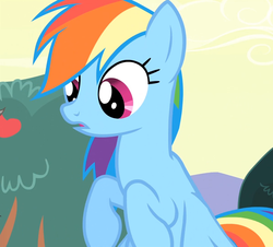 Size: 1194x1079 | Tagged: safe, screencap, rainbow dash, pegasus, pony, bats!, g4, cropped, female, mare, solo