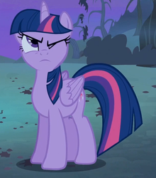 Size: 613x697 | Tagged: safe, screencap, twilight sparkle, alicorn, pony, bats!, g4, cropped, female, mare, solo, twilight sparkle (alicorn)