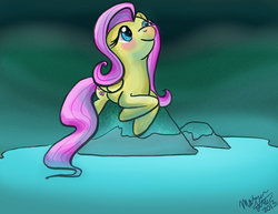 Size: 1024x791 | Tagged: safe, artist:ghostlymuse, fluttershy, g4, female, solo
