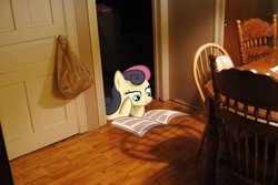 Size: 1092x731 | Tagged: safe, artist:posipony, bon bon, sweetie drops, g4, bon bon is amused, irl, photo, ponies in real life