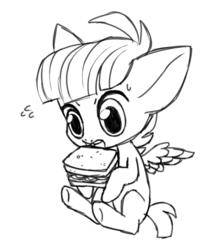 Size: 554x646 | Tagged: safe, artist:tinybeasts, featherweight, g4, male, monochrome, sandwich, sketch, solo