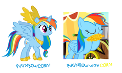 Size: 500x300 | Tagged: safe, rainbow dash, alicorn, pony, g4, comparison, corn, eating, female, herbivore, know the difference, nom, pun, race swap, rainbowcorn, solo, species swap