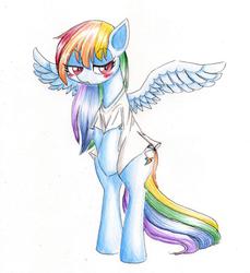 Size: 1024x1117 | Tagged: dead source, safe, artist:unousaya, rainbow dash, g4, bipedal, blushing, clothes, female, shirt, simple background, solo, spread wings, traditional art, wings