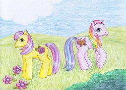 Size: 1024x730 | Tagged: safe, artist:normaleeinsane, royal bouquet, wind drifter (g3), g3, flower, traditional art