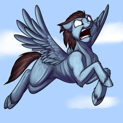 Size: 1280x1280 | Tagged: safe, artist:foxenawolf, oc, oc only, oc:calm wind, determined, flying, funny, muscles, open mouth, pegasus posse, silly, solo, spread wings, unshorn fetlocks, wide eyes