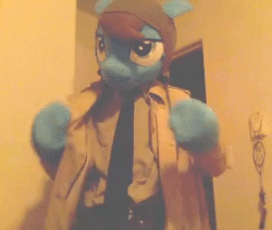Size: 404x342 | Tagged: safe, oc, oc only, oc:pony inspector, human, animated, clothes, fursuit, irl, irl human, photo, trenchcoat