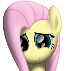 Size: 1600x1687 | Tagged: safe, artist:thunderelemental, fluttershy, pony, g4, bust, female, front view, looking at you, mare, portrait, simple background, solo, white background