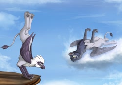 Size: 1280x893 | Tagged: safe, artist:lucky dragoness, giselle, irma, natalya, griffon, g4, balancing, cloud, cloudy, eye contact, fluffy, legs in air, on back, sky, smiling, training