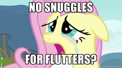 Size: 994x559 | Tagged: safe, screencap, fluttershy, g4, crying, image macro, imma snuggle you, meme, snuggling