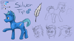 Size: 1280x720 | Tagged: safe, artist:silver-tip, oc, oc only, oc:silver tip, pony, unicorn, 2014, colored, cutie mark, feather, male, portrait, quill, reference sheet, side view, sketch, solo