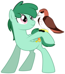 Size: 748x855 | Tagged: dead source, safe, artist:cloud-shaper, oc, oc only, oc:melody star, hawk, pegasus, pony, falconry, parent:oc:north star, parent:oc:wineberry, parents:winestar, pet, pet oc, winestar