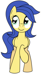 Size: 1628x2933 | Tagged: safe, artist:halabaluu, oc, oc only, oc:wineberry, pegasus, pony, solo