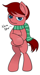 Size: 650x1230 | Tagged: safe, artist:littlesilentlion, oc, oc only, oc:north star, earth pony, pony, clothes, scarf, solo
