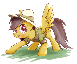 Size: 1200x1000 | Tagged: safe, artist:joycall6, daring do, pony, g4, :o, blushing, cute, daring dorable, female, looking at you, simple background, solo, spread wings, white background