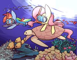 Size: 900x698 | Tagged: safe, artist:joycall6, fluttershy, rainbow dash, fish, turtle, g4, coral, diving, pixel art, snorkel, underwater, watershy