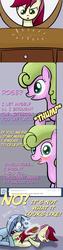 Size: 650x2600 | Tagged: safe, artist:why485, daisy, flower wishes, minuette, roseluck, ask the flower trio, g4, ask, brush, comic, mirror, tumblr