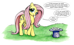 Size: 1070x646 | Tagged: safe, artist:halfsparkle, fluttershy, g4, ask, female, hat, solo, tumblr