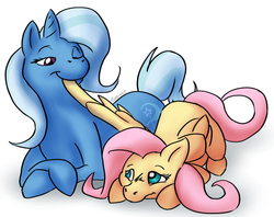 Size: 645x510 | Tagged: safe, artist:conicer, fluttershy, trixie, pegasus, pony, unicorn, g4, female, lesbian, mare, preening, shipping, trixieshy, wing bite