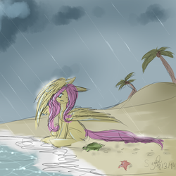 Size: 800x800 | Tagged: safe, artist:missmagicalwolf, fluttershy, turtle, g4, beach, female, rain, sketch, solo