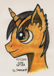 Size: 751x1063 | Tagged: safe, artist:mane-shaker, oc, oc only, oc:sparkler riddleback, colored, solo, traditional art, watercolor painting