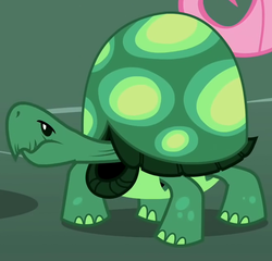 Size: 657x631 | Tagged: safe, screencap, fluttershy, tank, tortoise, g4, may the best pet win, female, solo