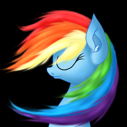 Size: 2000x2000 | Tagged: safe, artist:novaspark, rainbow dash, pony, g4, female, high res, solo