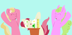 Size: 1500x735 | Tagged: safe, artist:crashbrowns, daisy, flower wishes, lily, lily valley, roseluck, pony, g4, female, flower trio, measuring, ruler, trio, trio female