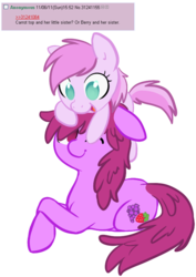 Size: 592x834 | Tagged: safe, artist:php27, berry punch, berryshine, piña colada, earth pony, pony, g4, 4chan, applecore riding berry punch, berrybetes, cute, female, filly, mare, piña cutelada, ponies riding ponies, pony hat, request, riding
