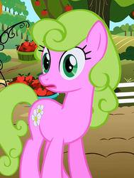 Size: 511x675 | Tagged: safe, screencap, daisy, flower wishes, g4, the super speedy cider squeezy 6000, background pony, female, solo