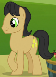 Size: 405x556 | Tagged: safe, screencap, golden delicious, earth pony, pony, apple family reunion, g4, apple family member, background pony, cropped, male, solo, stallion