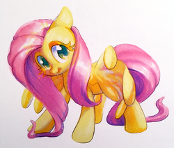 Size: 965x817 | Tagged: safe, artist:dawnfire, fluttershy, g4, colored pupils, female, solo, traditional art